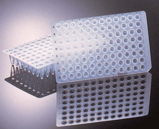 Sorenson PCR Products