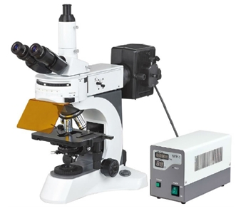 E800MF Fluorescent Microbiological Microscopes | CSI Labshop Malaysia